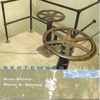 Flies & Mosquitos - Evan Parker & Peter A.Schmid