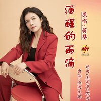 酒醒的雨滴 - 蒋婴 & DJ晓朋