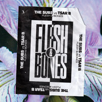 Flesh & Bones - The Subs & Tsar B