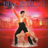 Loài Hoa Không Tên - Thế Sơn & Hoang Lan