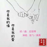 你是我的情你是我的爱 - 应丽琴 & 独飞