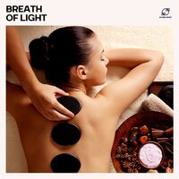 Soft Instrumental Music - Spa Music Hour & Massage Music Zone & Relaxing Music Therapy & Massage Dreams