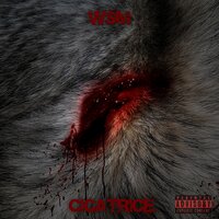 Cicatrice - WSM