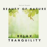 Through the Clouds - Dr. Meditation & Monique Namaste & Nature Queen