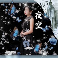 夜空 - 应丽琴