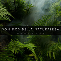 Viento Y Relajación - Academia de Música con Sonidos de la Naturaleza & Serenidad Academy & #Relajante