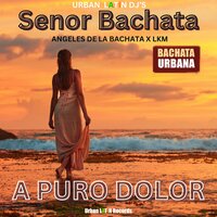 A Puro Dolor - Senor Bachata & Angeles De La Bachata & Urban Latin DJ's & LKM