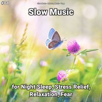 Slow Music - Slow Music & Relaxing music & Yoga