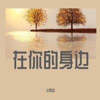 在你的身边 - 小雨点