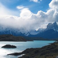 Apple Blossoms - Peter Michael