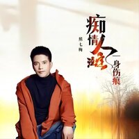 痴情人注定一身伤痕 - 熊七梅