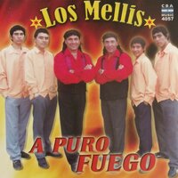 No Me Des Tu Adiós - Los Mellis