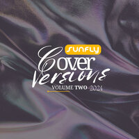 Beautiful Things - Sunfly House Band