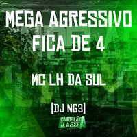 Mega Agressivo Fica de 4 - Dj NG3 & MC LH DA SUL