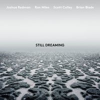 New Year - Joshua Redman & Brian Blade & Ron Miles & Scott Colley