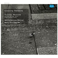 Ørjan Matre: Crossing Patterns lV - Thomas Kjekstad & Lars-Erik ter Jung