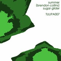 Sugar Glider - Summer (Brendon Collins) & Rich Curtis