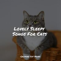 Unwind, De-Stress - Cat Music & Music for Cats Deluxe & Cat Music Experience