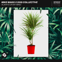 Always On My Mind - Mike Mago & Dog Collective
