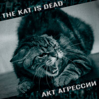 Кризис - The Kat is Dead