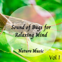 Chirping Flies at Jungle - Native American Nature & Nature on Record & Four Robes