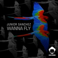 Wanna Fly - Junior Sanchez