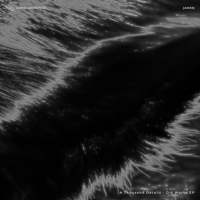 Polynominal Vectors - A Thousand Details