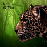Yesterday - Toricos