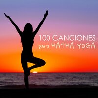 Manejo de la Ira - Hatha Yoga Maestro