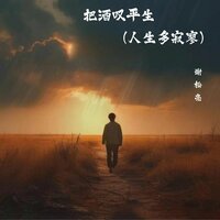 把酒叹平生(人生多寂寥) - 谢松亮