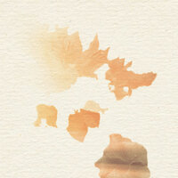 I Have Nothing - Covers Unplugged & Wild Issues