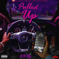 PULLED UP - O.B. Fly