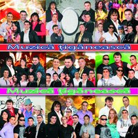 Sunt Fabrica De Bani - Nicoleta Guta