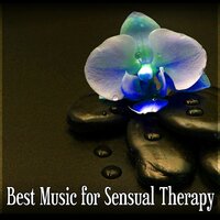 Emotional Moment - Wellness Spa Sanctuary