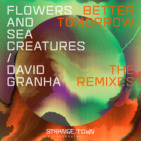 Better Tomorrow - David Granha & Flowers and Sea Creatures & Futur-E