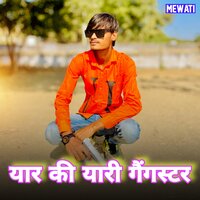 यार की यारी गैंगस्टर - Sahil Khan Mewati