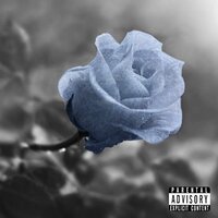 Cold Shoulder - Jess The Facts