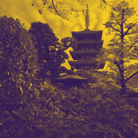 Ambience (Friday Evenings) - The Cocktail Lounge Players