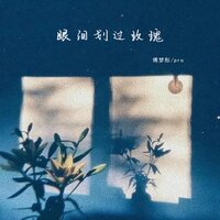 眼泪划过玫瑰 - 傅梦彤 & Pro