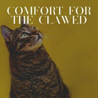 Feline Companion - Music For Cats Peace