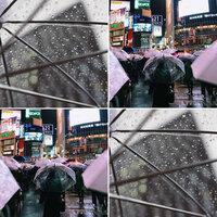 Deluxe Backdrops for Relaxing Spring Time - Java Jazz Cafe