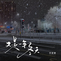 又是一年冬天 - 苏星婕