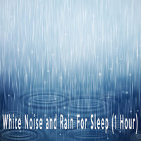 White Noise and Rain For Sleep (1 Hour) - Color Noise Therapy & White Noise Therapeutics & Relax Meditate Sleep Media