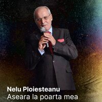 Aseara la poarta mea - Nelu Ploiesteanu