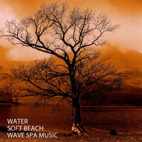 Holiday Beach Music - Native American Flute Music & Dog Music Dreams & The Entrainment