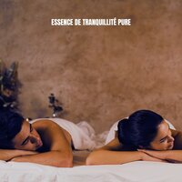 Nuit Silencieuse - Musique Zen Garden & Spa Musique Collection