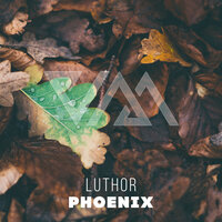 Phoenix - Luthor