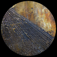 LIM 12C - Jonas Kopp