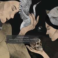 Temple of Soul - deep inzhiniring & Za__Paradigma