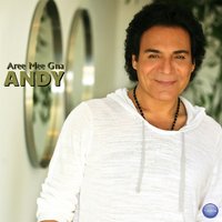 Take Me Home - Andy & Shani & HawkGotHitz